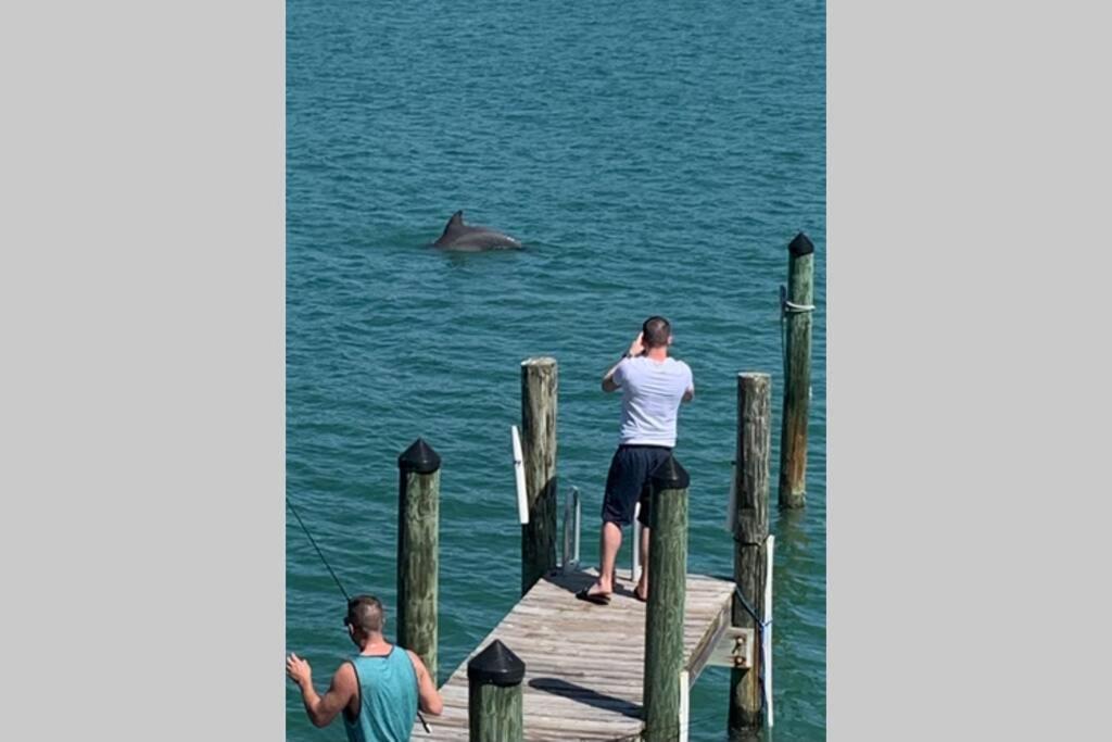 Luxury And Spacious Waterside Getaway Clearwater Beach Eksteriør bilde