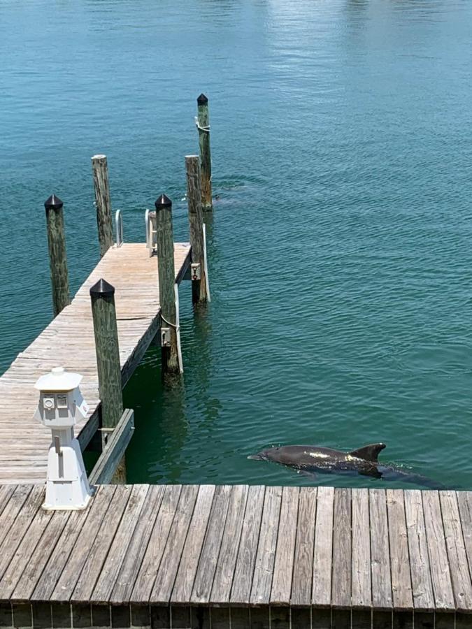 Luxury And Spacious Waterside Getaway Clearwater Beach Eksteriør bilde